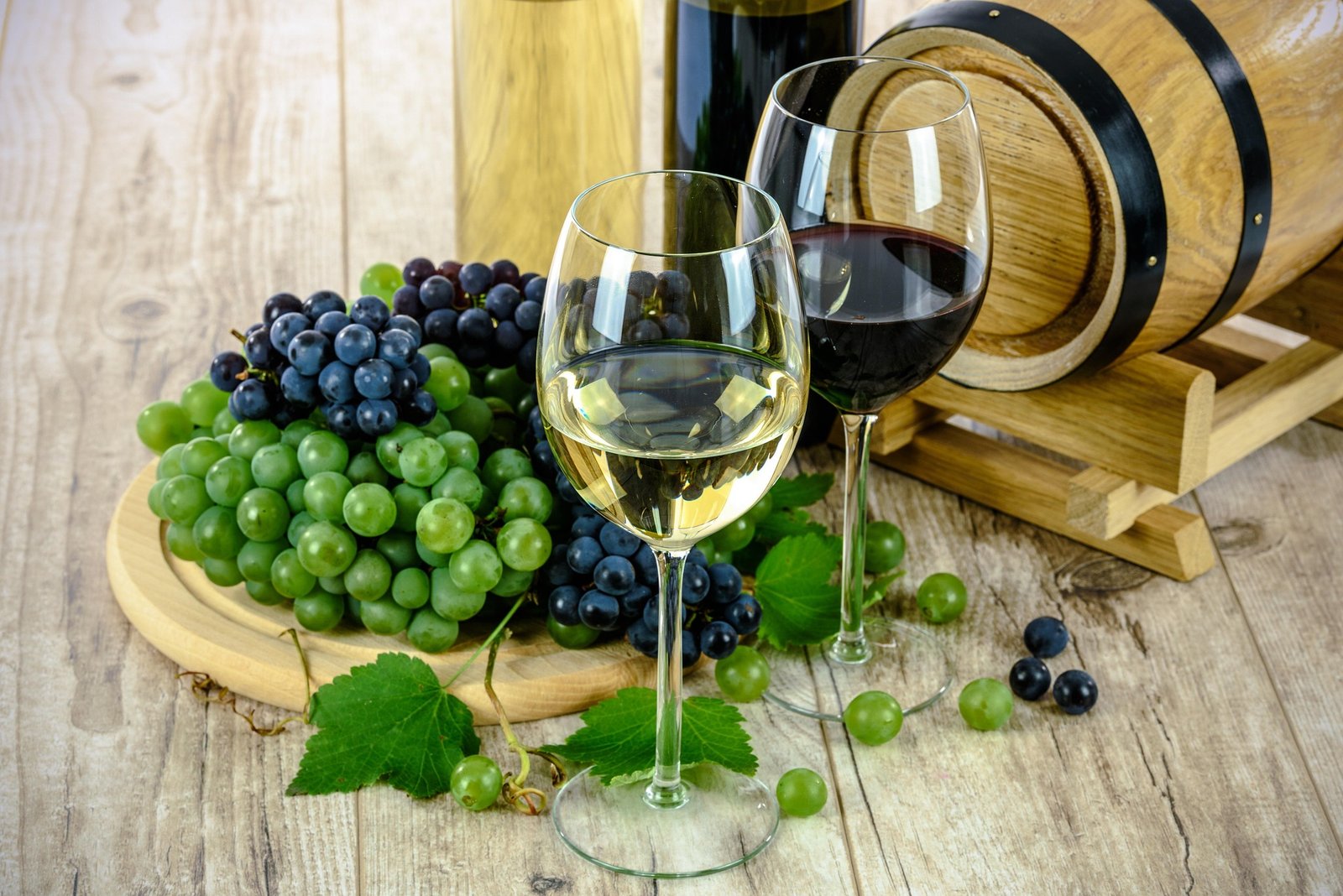 Catas de vino