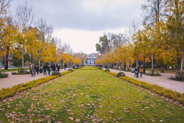 Una escena vibrante de otoño en el Parque del Retiro, Madrid, con personas caminando entre árboles coloridos.